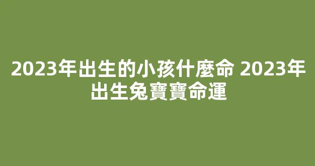 2023年出生的小孩什麼命 2023年出生兔寶寶命運